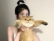 当封号成为生意，快手段位背后的黑暗产业链，专门封别人快手号