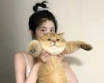 快手举报能封号吗知乎,快手举报能封号吗知乎文章