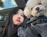 小红书购物举报电话小红书购物投诉电话