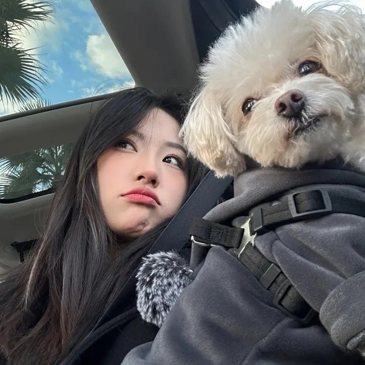 抖音视频如何举报？手把手教你维护网络环境，在抖音视频如何举报