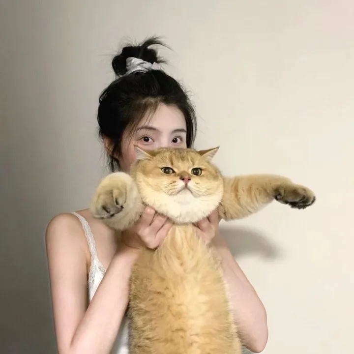 抖音直播间故意骂人？三步教你精准举报，必要时找专业团队，抖音直播间故意骂人应该怎么举报投诉