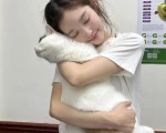 抖音举报违规视频总失败？这份高效操作指南请收好，抖音视频如何举报违规作品的人呢知乎